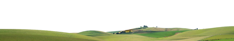 Waikaka-School-Website-Header.png