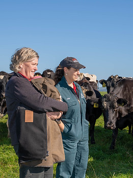 Vet and farmer discussing animal health