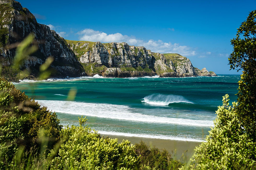 Get Lost in The Catlins