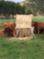 6ft Round Bale Hay Feeder Cradle