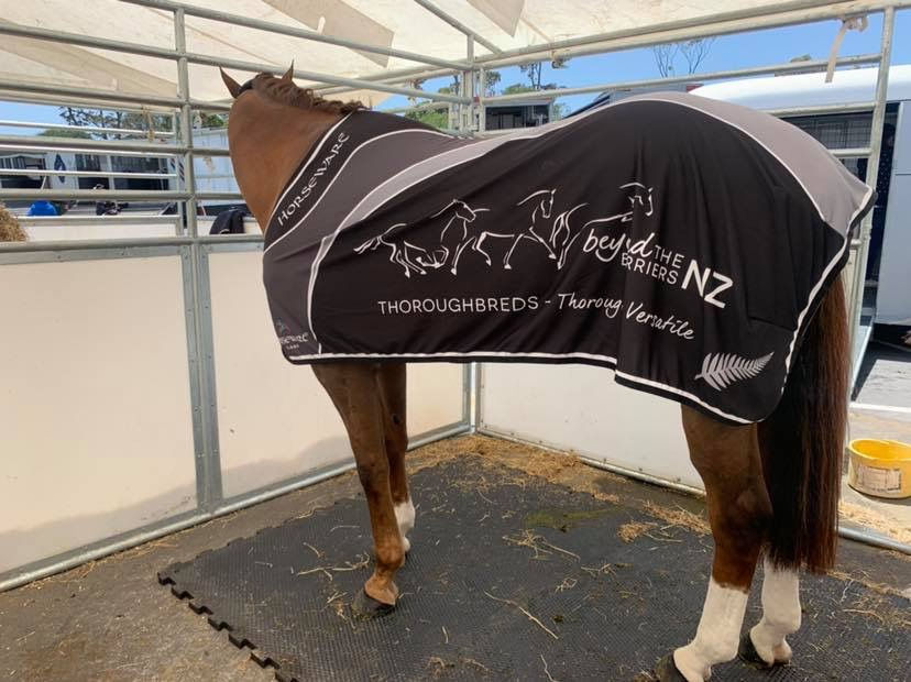 Comfy Equine Rubber Mats AgriTech Imports New Zealand