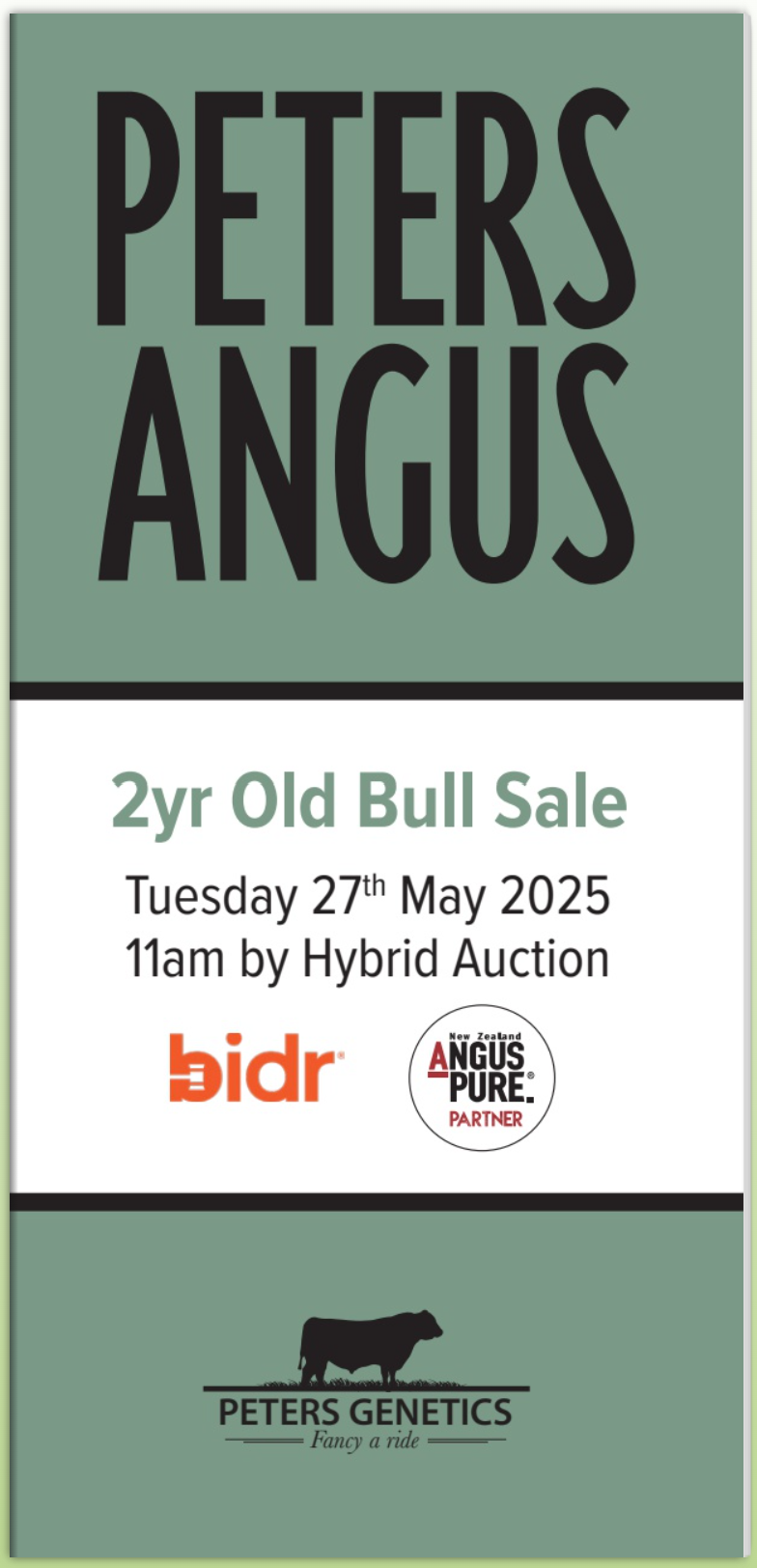Peters Angus Bull Sale