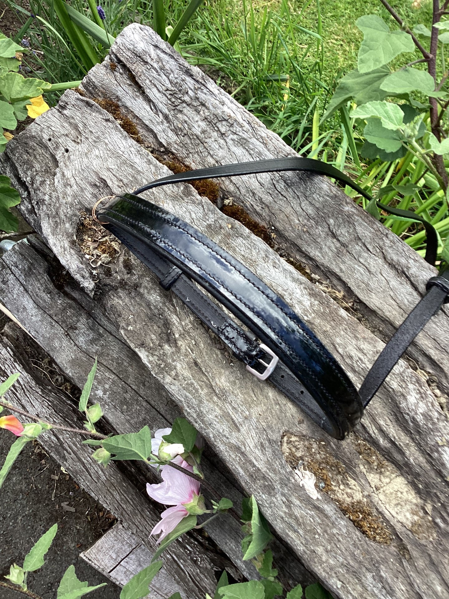 Padded patent leather noseband for horse