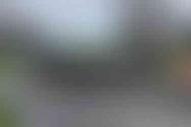 Multiple dog kennels with runs, out for delivery.