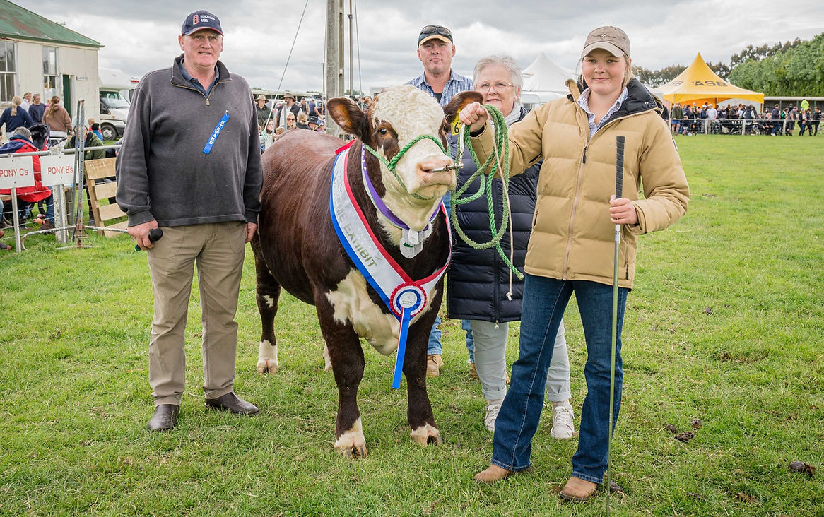 The Wyndham A&P Society & Show Official Site