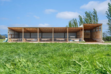 Calf pens and storage shed on farm