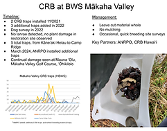 2025OWCRW_CRBPosters_BWSMākahaValley.png