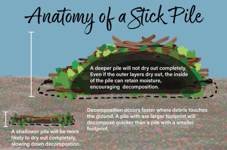 CRB_StickPileAnatomy.jpg