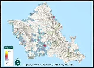 CRBTrapDetections_Oahu2024Only.png