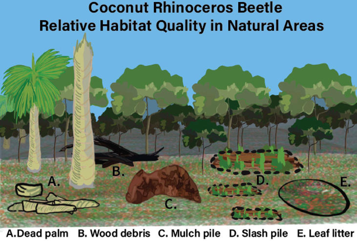Asset 3-80_edited.jpg