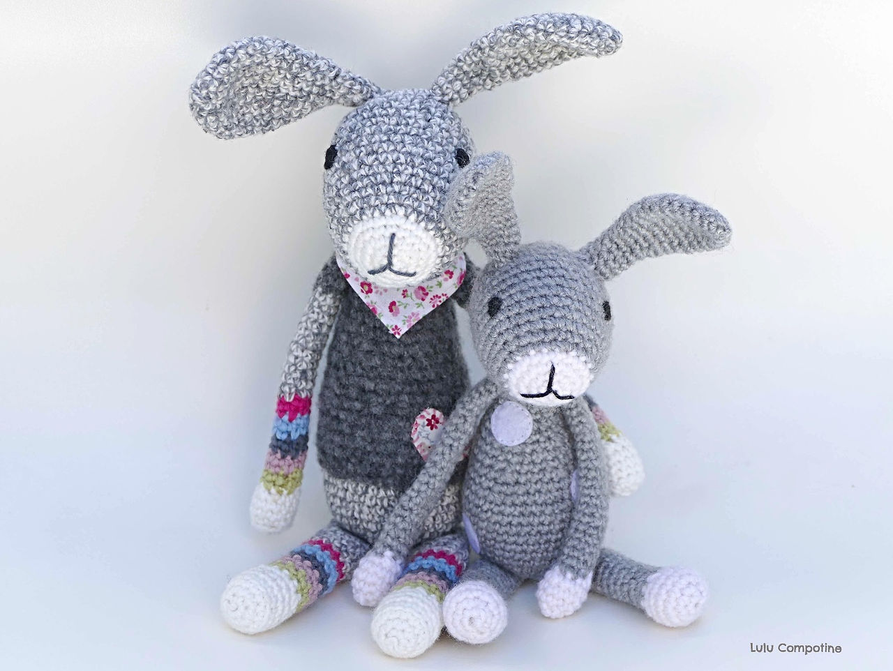 Lapins gris