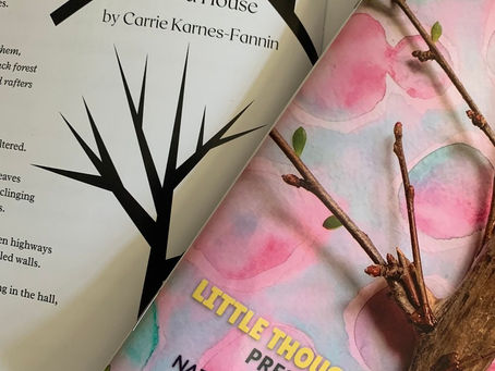 Interview: Carrie Karnes-Fannin