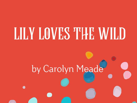 Lily Loves the Wild by Carolyn Meade