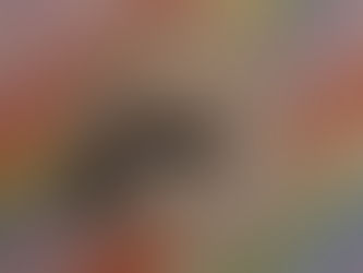 Two Illustrations by Leonor Mitchell