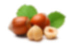 Nocciola