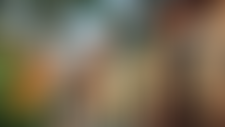 If You Own a Rental Property, Should You Have an LLC?