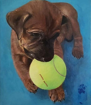 Baby%252520Cooper%2525202020_16x20%25252