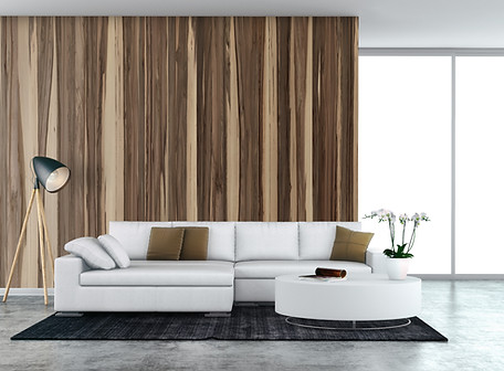White Couch
