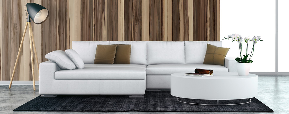 White Couch