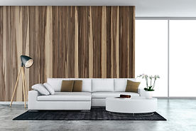 White Couch