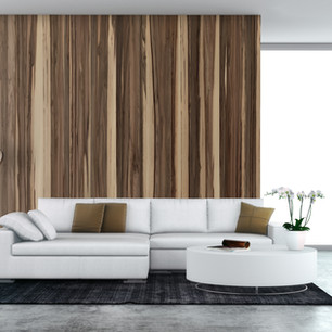 White Couch