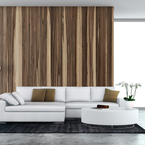 White Couch