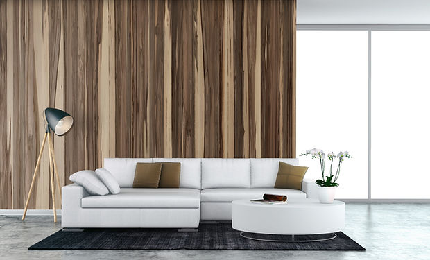 White Couch