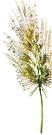 herbe_rosée.png