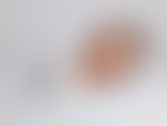 What a Newborn Session Is Really Like