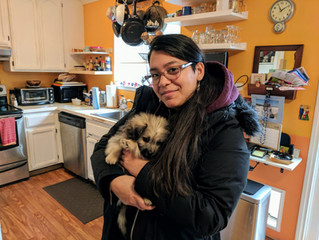 Indigenous Brilliance & Two-Spirit Identities: An Interview with Amelia Vigil