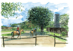 Mont Choisy - Maurice