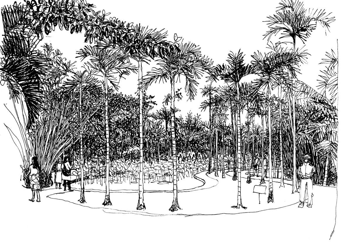 Jardin des Pamplemousses - Ile Maurice