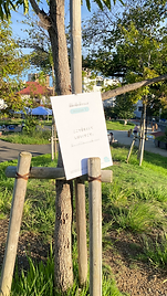 ミッション形式で書いてみる@公園