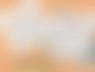 Food Service Lunch Bag Guidelines