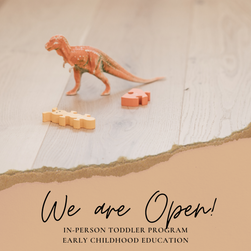 Toddler Program - We are Open!