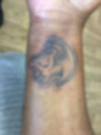 Cecily Sneeringer - Lion Cub Simba.JPG