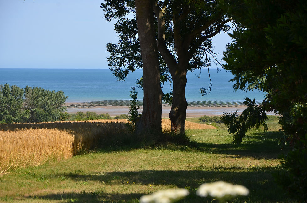 de la campagne à. la mer