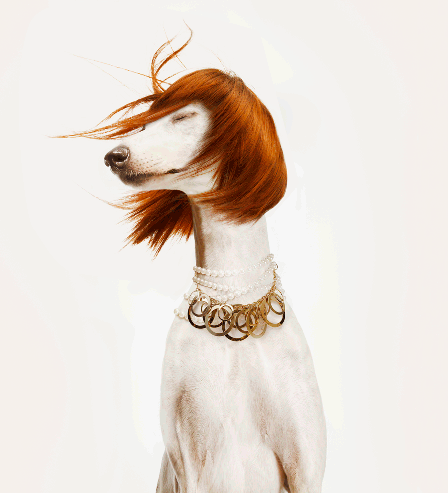 ca2a5a_bcc7af9977a346e58b99455a6a400a62~mv2.gif
