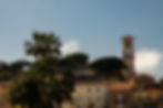 jovan-vasiljevic-mc1YUnKr2WU-unsplash-scaled.jpg