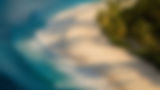 shutterstock_2476340939.jpg