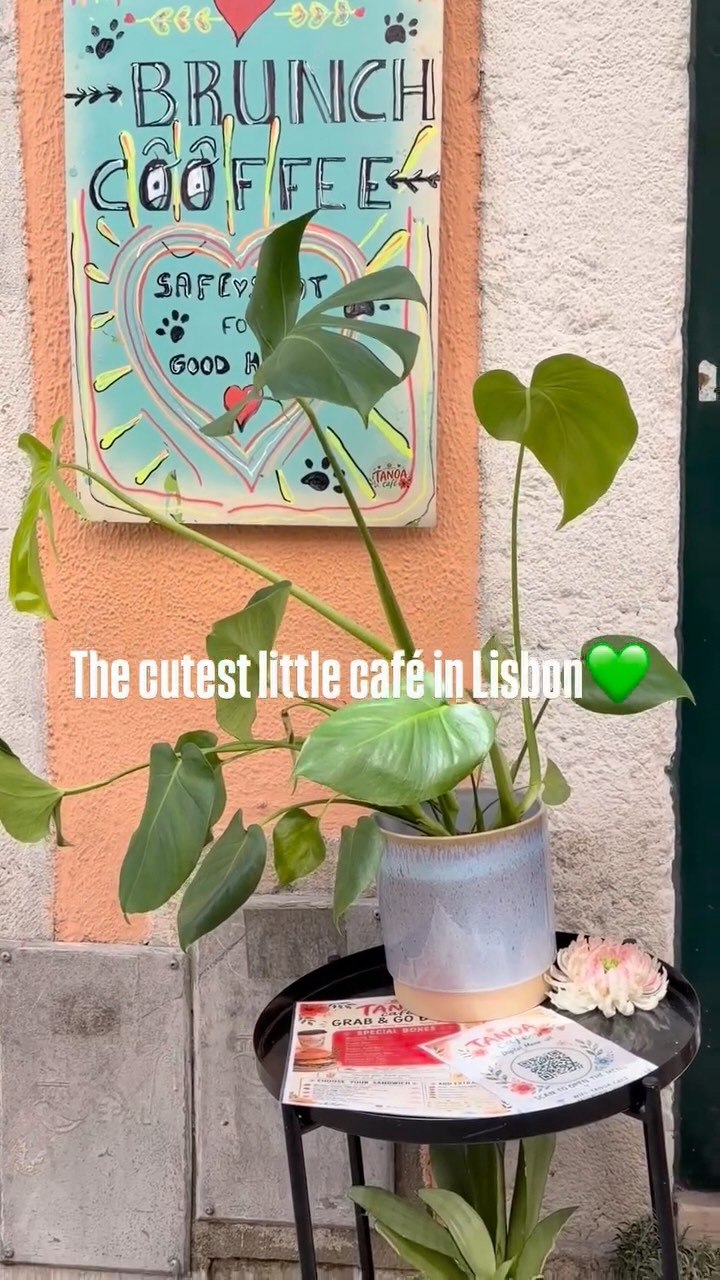 Tanoa Café Reel