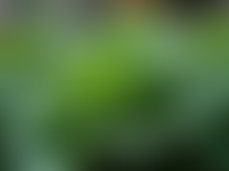 Alkaline Eating for a balanced internal environment.