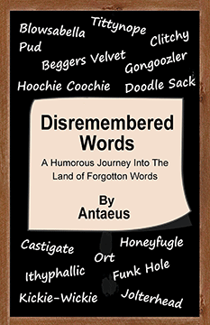 Disremembered Wordes book cover