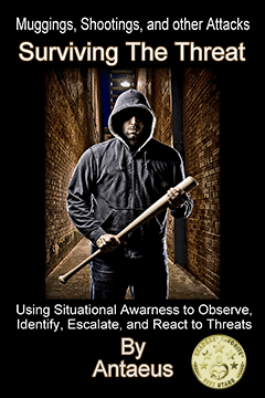 Surviving The Threat book cover