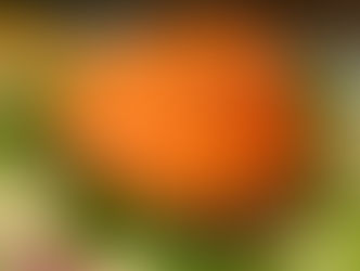 Alimentos saludables!!!