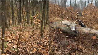 Proven Old School Tips For Still Hunting Mature Whitetails