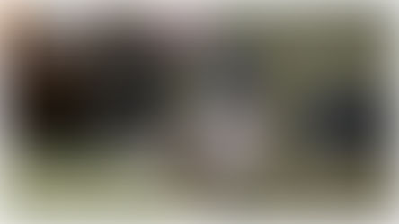 Walker’s Firemax Behind-The-Neck Earmuffs: Reviewed By A CCW Instructor