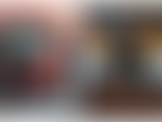 Primary Arms RS-15: Advice And Review From A CCW Instructor