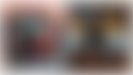 Primary Arms RS-15: Advice And Review From A CCW Instructor