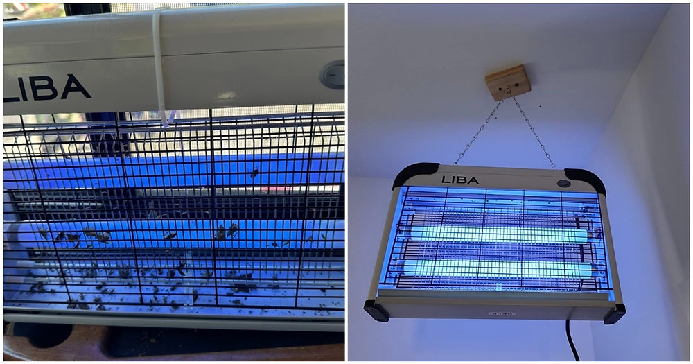 Best Bug Zapper For Fruit Flies I Tested And Reviewed The Best Fruit Fly Zapper In 2023
